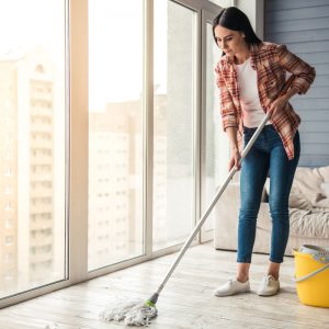 Floor Cleaner/Glass Cleaner (House Cleaning Products)